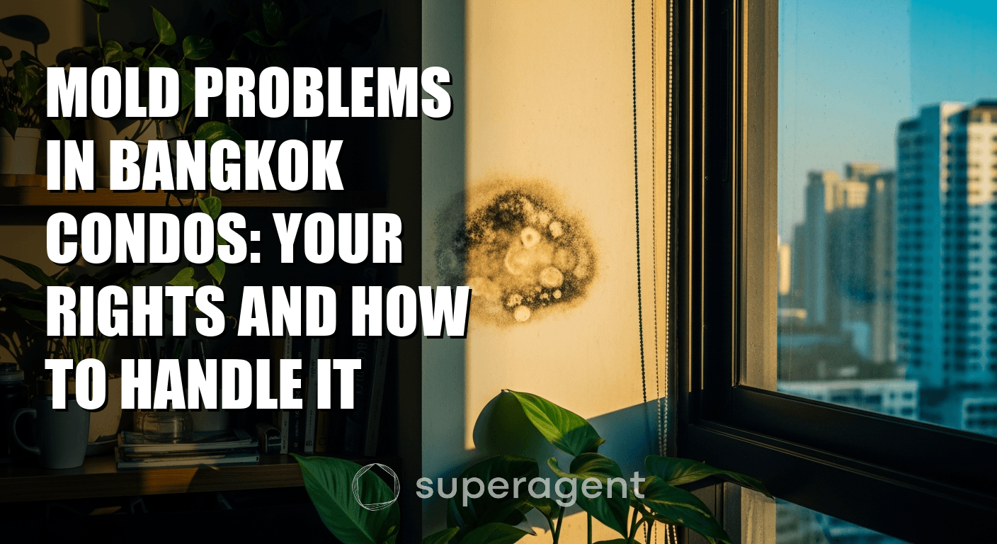 Mold Problems in Bangkok Condos: Your Rights and How to Handle It