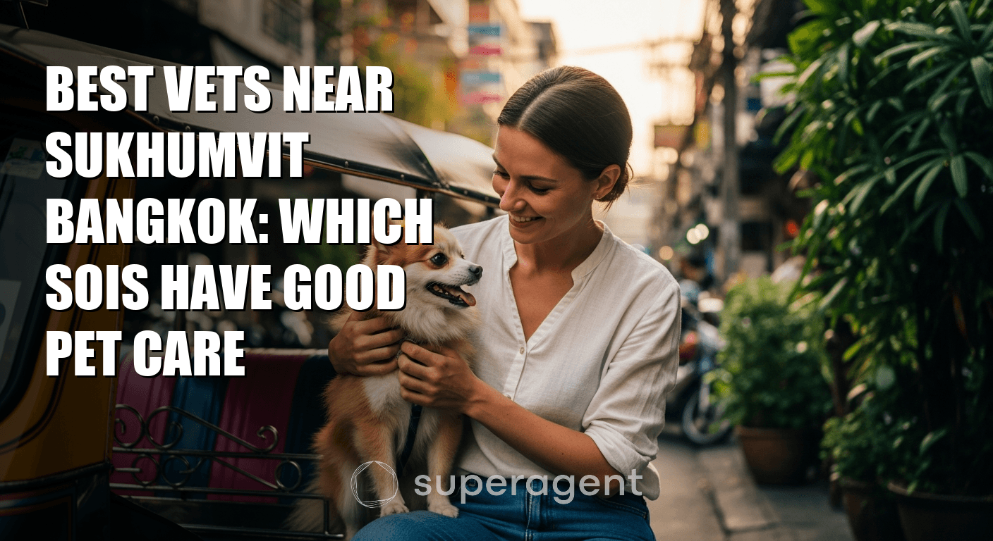 Best Vets Near Sukhumvit Bangkok: Which Sois Have Good Pet Care