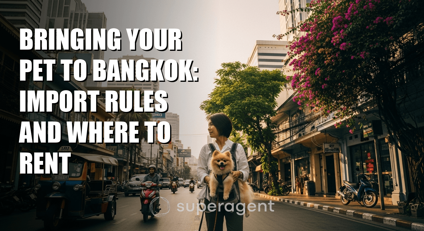 Bringing Your Pet to Bangkok: Import Rules and Where to Rent