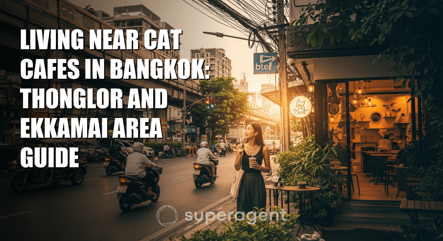 Living Near Cat Cafes in Bangkok: Thonglor and Ekkamai Area Guide