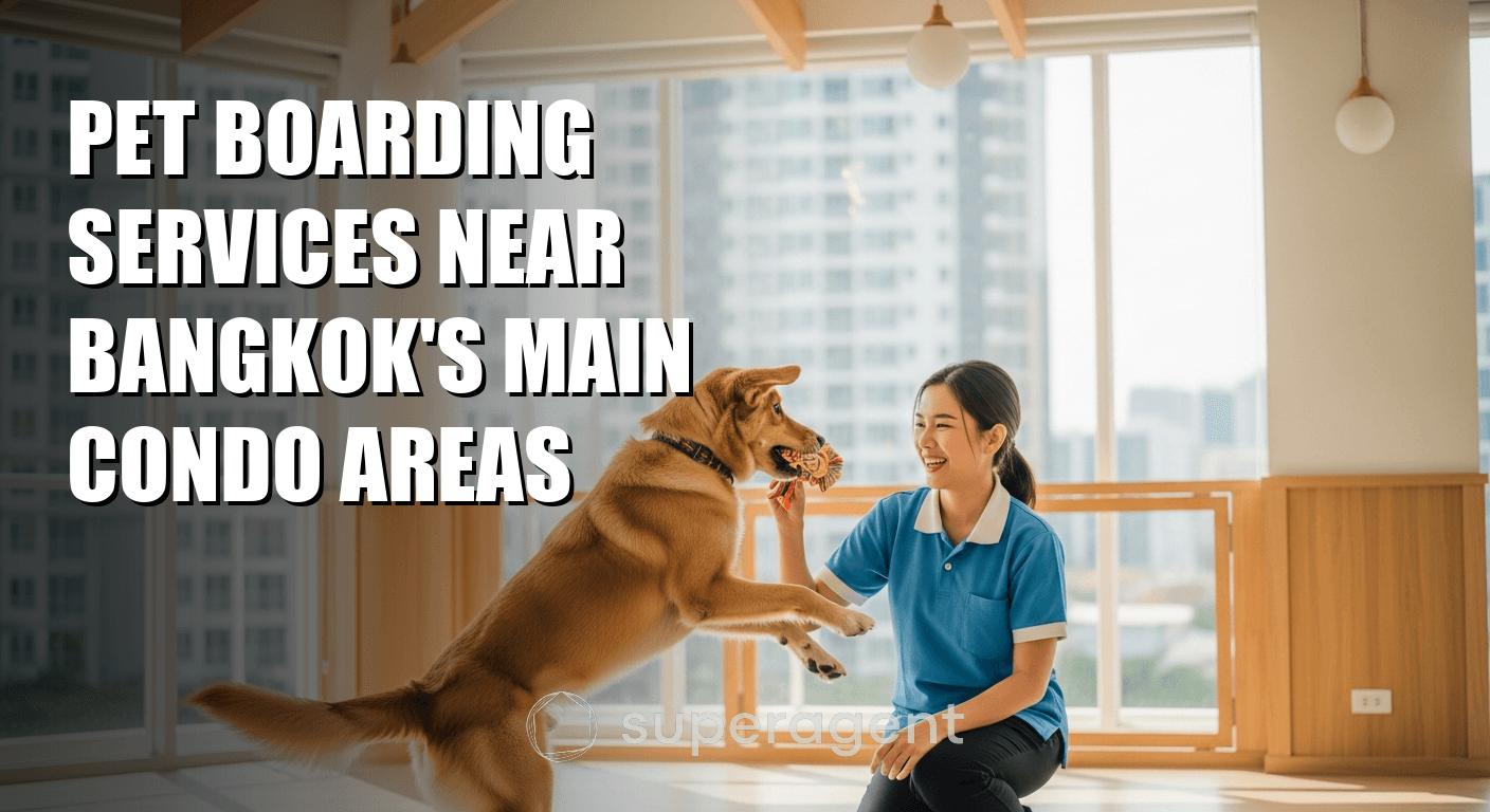 Pet Boarding Services Near Bangkok's Main Condo Areas
