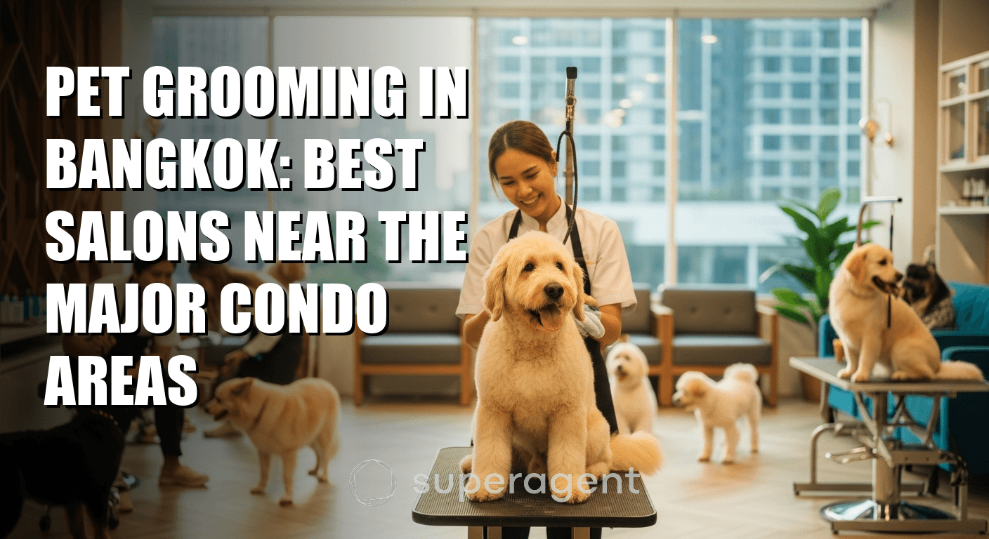 Pet Grooming in Bangkok: Best Salons Near the Major Condo Areas