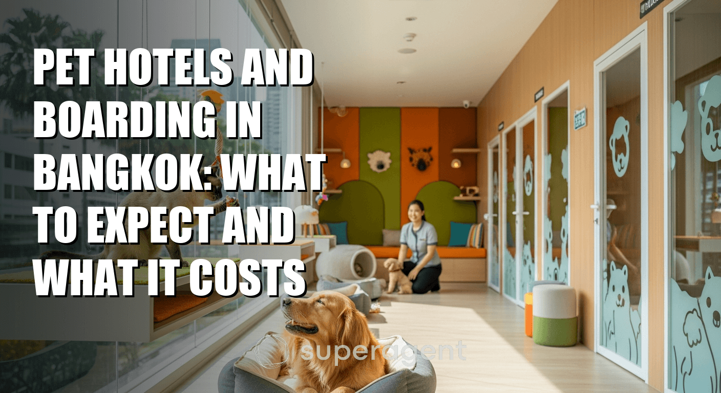 Pet Hotels and Boarding in Bangkok: What to Expect and What It Costs