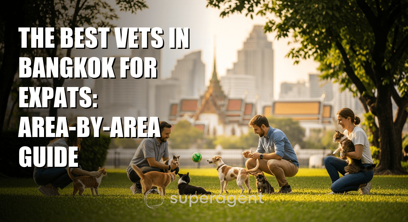 The Best Vets in Bangkok for Expats: Area-by-Area Guide