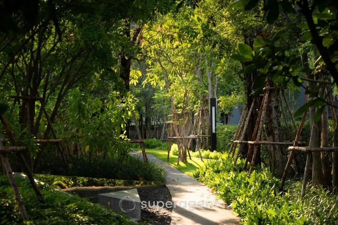 รูปทรัพย์